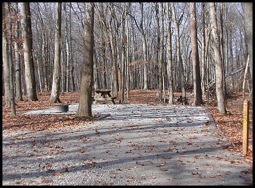 Class C Campsite
